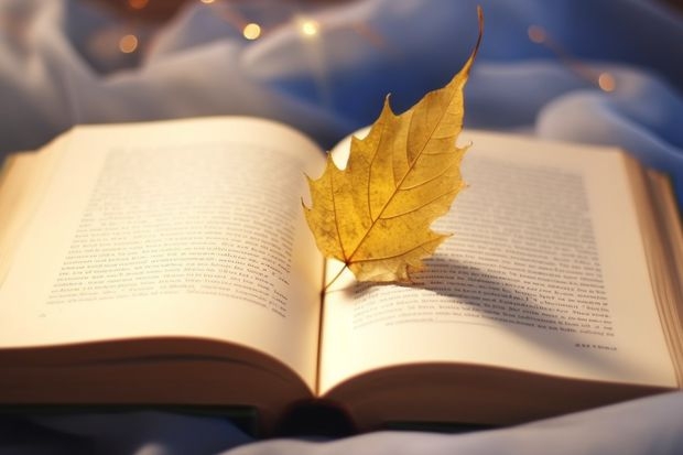 郑州大学本校一本，二本，三本毕业证有区别吗？急急急
