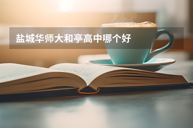 盐城华师大和亭高中哪个好