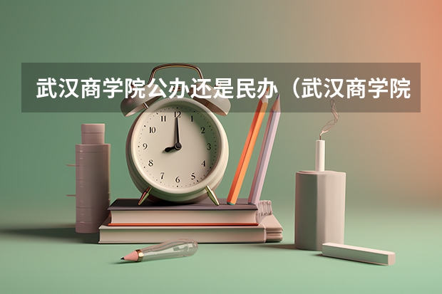 武汉商学院公办还是民办（武汉商学院介绍）
