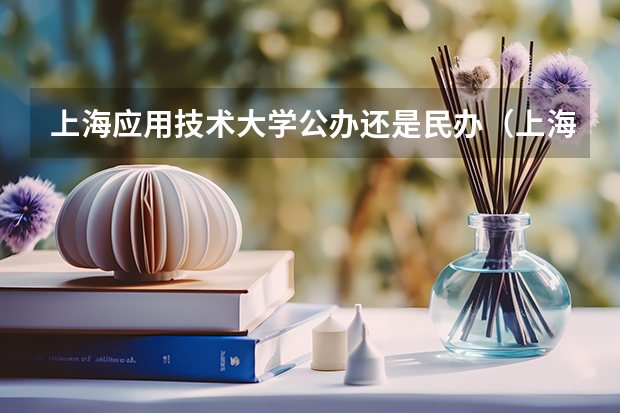 上海应用技术大学公办还是民办（上海应用技术大学介绍）