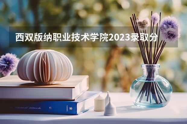 西双版纳职业技术学院2023录取分数线（西双版纳职业技术学院多少分能上）