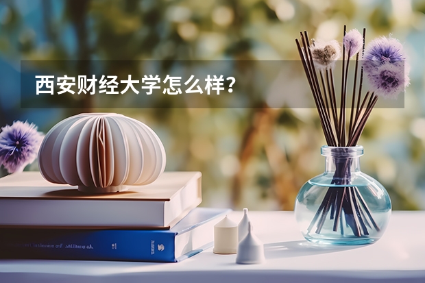 西安财经大学怎么样？