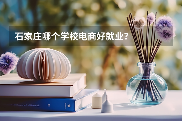 石家庄哪个学校电商好就业？