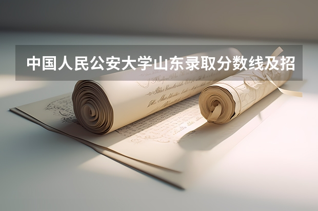 中国人民公安大学山东录取分数线及招生人数