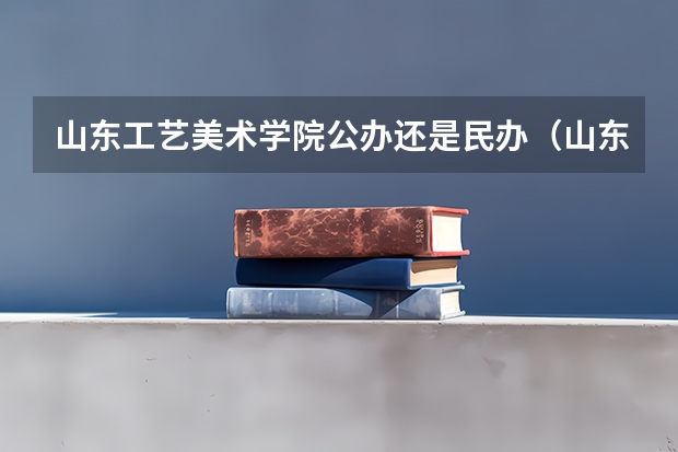 山东工艺美术学院公办还是民办（山东工艺美术学院介绍）