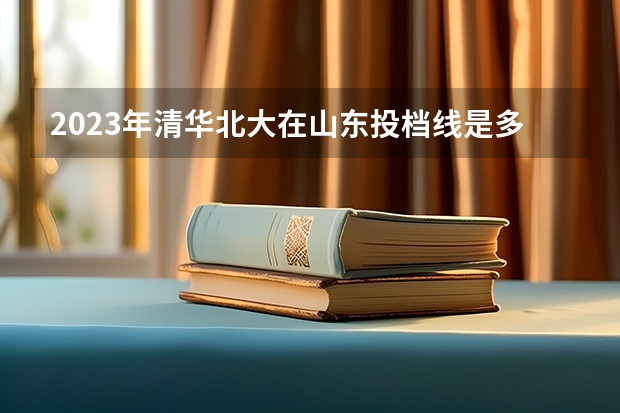 2023年清华北大在山东投档线是多少分？