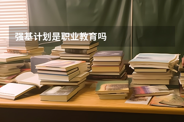 强基计划是职业教育吗