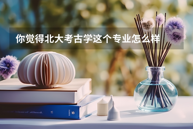 你觉得北大考古学这个专业怎么样