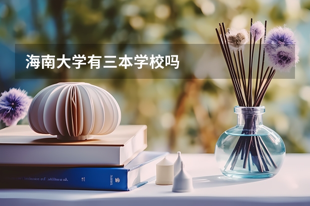 海南大学有三本学校吗