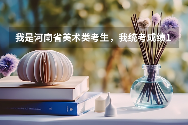 我是河南省美术类考生，我统考成绩175文化课成绩390，想上个郑州的二本或三本学校，能帮忙推荐一下吗？