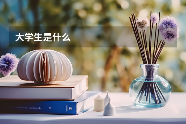 大学生是什么